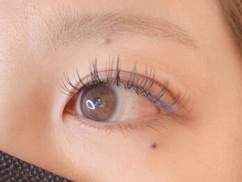 キャメル(camel)/【フラットラッシュ】170本