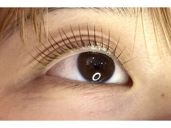 ペルシャ(Persian)/お客様デザイン(担当:宮井)