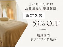 ジプソフィラ 坂戸店