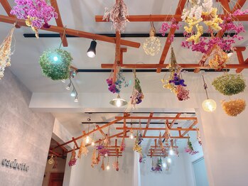 カシェット アイラッシュ(cachette eyelash)