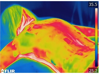 ルフルリール(Refleurir)/マシーン施術後の冷え改善→→→