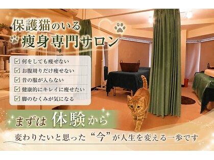 リメイク(Re make)の写真