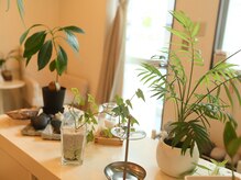 ボディケアとリフレクソロジーのお店 ラウラ(Laula)/《緑》
