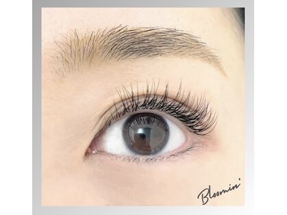 ブルーミン(Bloomin')の写真