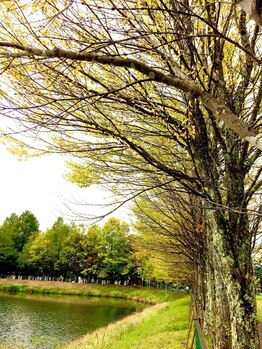 関谷カイロプラクティック整体院/2018Sep 軽井沢トリップ No.3