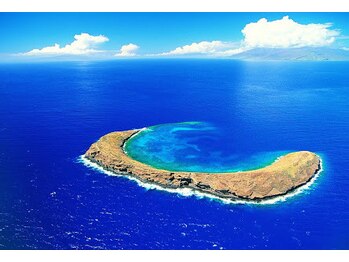 ハワイアンフォレストSpa 福岡天神店/モロキニ島