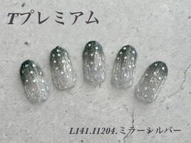 定額プレミアムコース