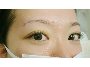 ルピナス(Lupinus)/セーブル180本