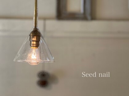 シードネイル(Seed nail)の写真