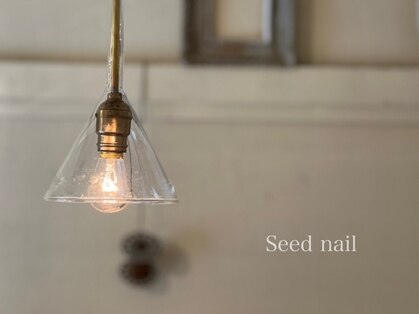 Seed  nail