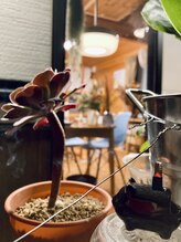 わたなべ整体院/