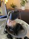 ヘアーフェイスリンド(hair face Lindo)の写真/人気の極上ヘッドスパと頭浸浴で贅沢なひとときを、ぜひお過ごしください☆施術後のスッキリ感に感動！