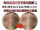 スイ(sui)の写真