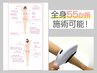 《レディース全身どこでも脱毛》セルフ脱毛 30分