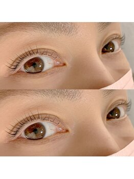 フェリシテ(felicite)/