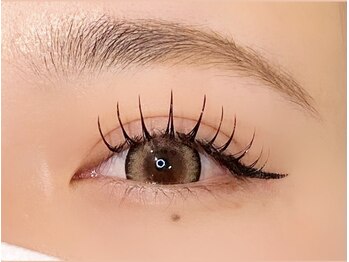 コア(Koa)/LDカール140本