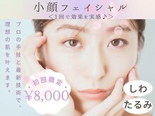 ティープラス 大和鶴間店(T-PLUS)
