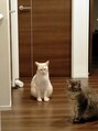 オーバー365 上田店(OVER365) 保護猫２匹と暮らしてます。