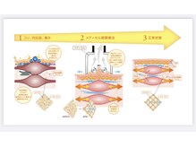 セルビューティー(Cell Beauty)/筋膜リリースは大人気メニュー