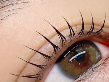 バロニワ(BARONIWA)の写真/富山/呉羽OPEN！毛先まで美しい、束感まつげパーマで垢抜け◎あなたのお目元に新しい魅力をプラス。