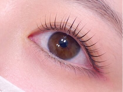 アーベル(arbel)の写真