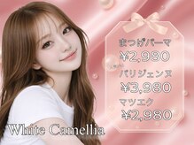 ホワイトカメリア 梅田茶屋町店(White Camellia)
