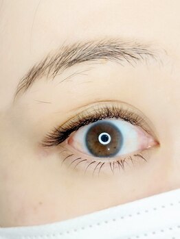 ルピナス 国分寺店(Lupinus)/LEDボリュームラッシュ500本