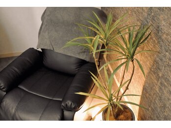 サロン バイ パピヨン エ ナチュール 恵比寿店(Salon by Papillons et nature)/プライベート空間でリラックス