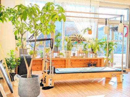 レイ(Ray)の写真