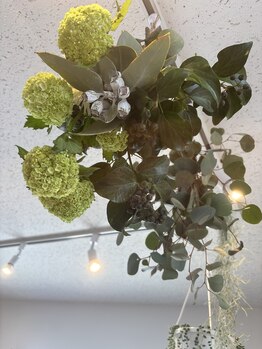 トワトワ(ToiToi)/