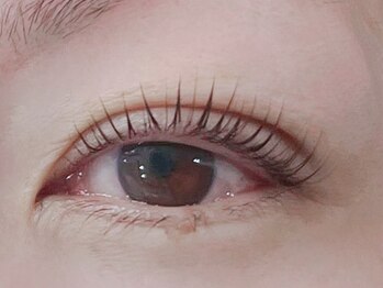 シュクレ 高畑店(shucre)の写真/根元からしっかり立ち上げ瞳パッチリ【パリジェンヌラッシュリフト】下がりまつげ等の悩みにも対応可能♪