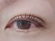 シュクレ 高畑店(shucre)の写真/根元からしっかり立ち上げ瞳パッチリ【パリジェンヌラッシュリフト】下がりまつげ等の悩みにも対応可能♪