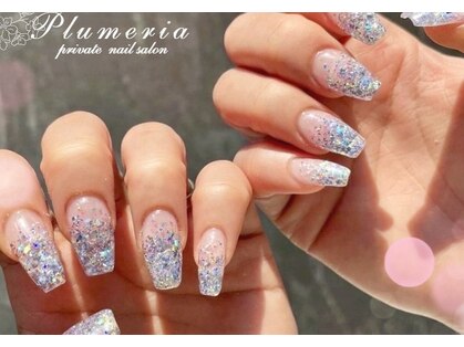 プルメリア(Plumeria)の写真