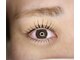 ジェルメ(Germer)の写真