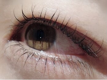 カラン 焼津店(CALIN)/上下ラスティングカール