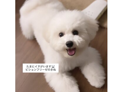 サロン 398(salon 398)の写真