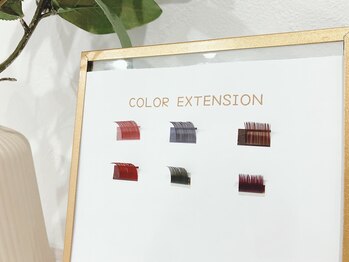 ポニー(PoNy)/カラーエクステバリエーション