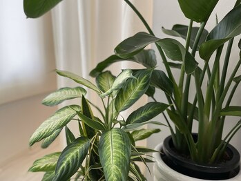 ラビット 福岡博多店(LOVit)/緑いっぱいの店内(^^)/