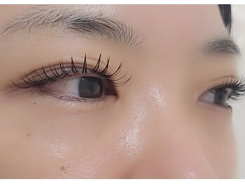 ウィメル(Wimell.)/フラットラッシュ