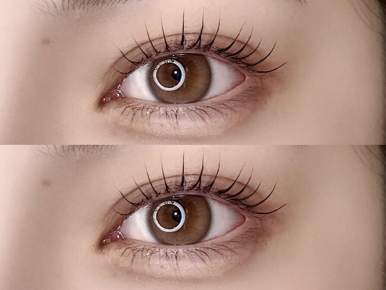 ポルテニーロクキュー ブレス(LASH&BROW PORTE269×brace