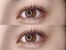 ポルテニーロクキュー ブレス(LASH&BROW PORTE269×brace)