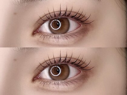 ポルテニーロクキュー ブレス(LASH&BROW PORTE269×brace)の写真