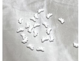 羽パーツ 【dress】