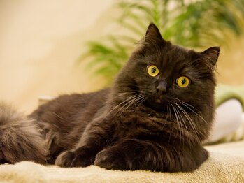 晴々/貫禄が出てきたおこげ！