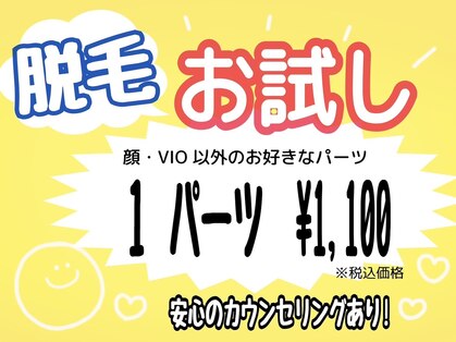 キキ(kiki)の写真