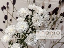 セブンフォリオ(7FORIO)/コラボイベントをすることも