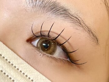 ソファー 吉祥寺(sofa)/フラットラッシュ /吉祥寺