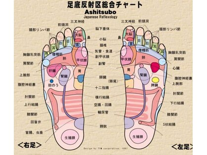 足つぼまーさんの写真