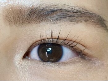 ウルカ アイラッシュ(uruka EYELASH)/ラッシュリフト