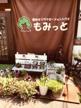 整体アンドリラクゼーションハウス もみっと/店頭の緑たち